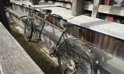 Sortie A St Joseph   007